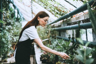 Daha iyi kalite kontrol için bahçe merkezinde çalışan gözlüklü ve önlüklü genç bir kadın bahçıvan. Çevreci serada dijital tablet kullanıyor. Yüksek kalite fotoğraf