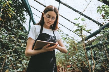 Daha iyi kalite kontrol için bahçe merkezinde çalışan gözlüklü ve önlüklü genç bir kadın bahçıvan. Çevreci serada dijital tablet kullanıyor. Yüksek kalite fotoğraf