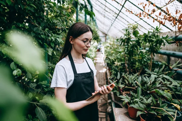 Daha iyi kalite kontrol için bahçe merkezinde çalışan gözlüklü ve önlüklü genç bir kadın bahçıvan. Çevreci serada dijital tablet kullanıyor. Yüksek kalite fotoğraf