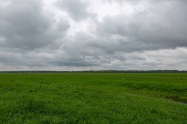 Bir bulutlu gökyüzü karşı yeşil çim ekilmemiş bir alanıyla