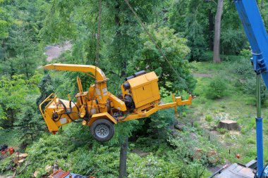 Şehir parkında gezici sarı odun ve dallar öğütücü