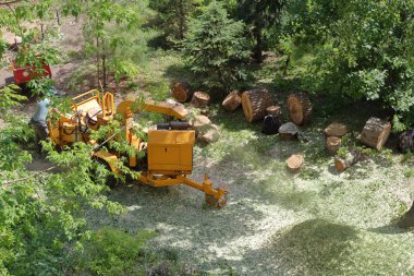 Şehir parkında gezici sarı odun ve dallar öğütücü