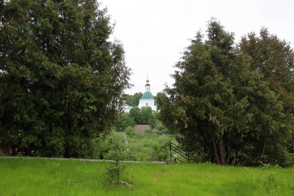 ⬇ Скачать Картинки Шумная Дача, Стоковые Фото Шумная Дача В.