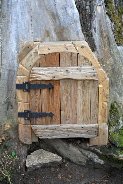 Uma Pequena Porta Decorativa Com Dobradiças Tronco Uma Enorme Árvore — Fotografia de Stock