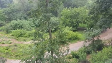 Yaz/Schaffhausen ağır yağmur altında gün boyunca
