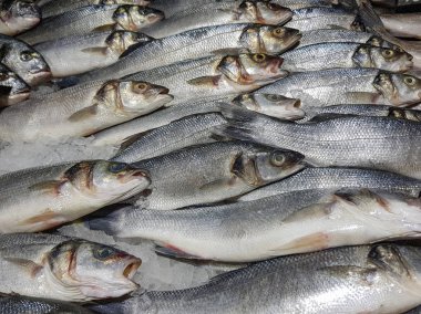 Bir sürü taze çiğ balık stok rafa kaldırmak