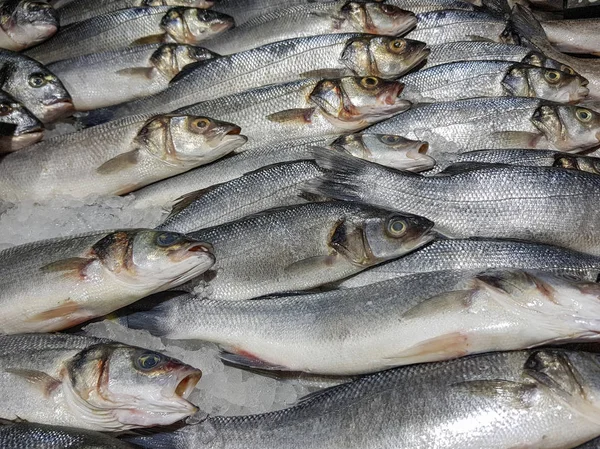 Bir sürü taze çiğ balık stok rafa kaldırmak