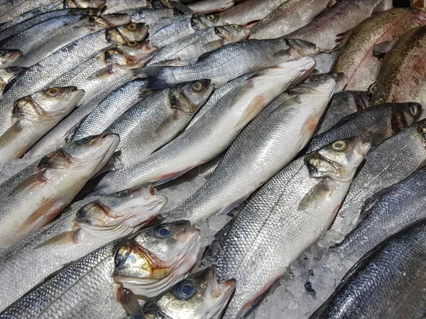 Monte Peixe Cru Fresco Prateleira Loja — Fotografia de Stock