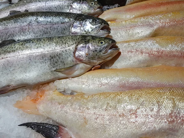 Bir sürü taze çiğ balık stok rafa kaldırmak