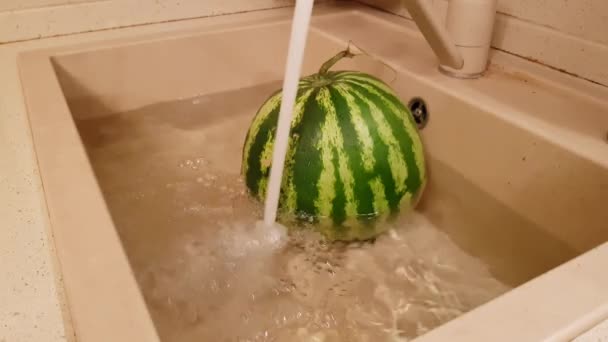 Große Reife Wassermelone Liegt Der Küchenspüle Unter Dem Wasserstrahl — Stockvideo