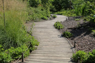 Yayalar bir yaz yeşil şehir parkta yürüyüş için yol