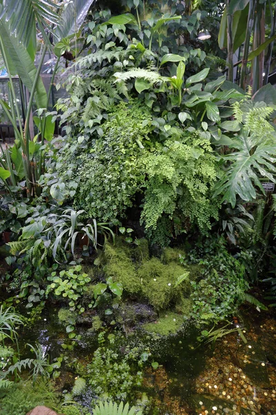 Possibilité Concevoir Paysage Jardin Verdoyant Une Arrière Cour — Photo