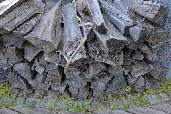 Trockenes Brennholz Zum Brennen Und Heizen Liegt Einem Haufen Hinterhof — Stockfoto