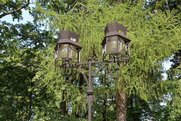 Vintage Żelaza Latarnia Ulicy Słoneczny Dzień Miasta — Zdjęcie stockowe