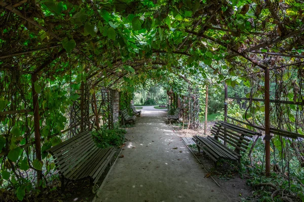 Шлях Пішоходів Сучасному Зеленому Міському Парку — стокове фото