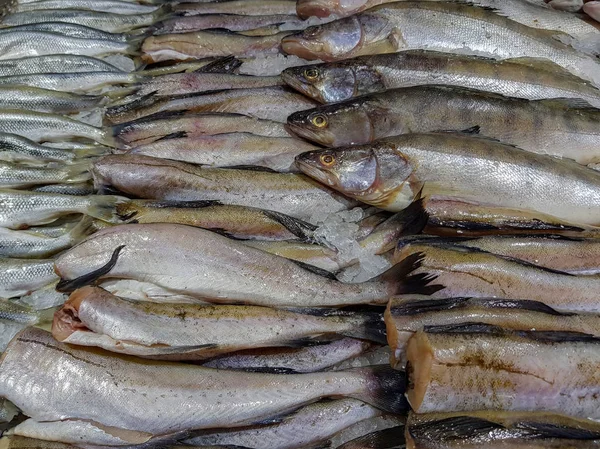 Montón Pescado Crudo Fresco Tienda Estante Con Hielo — Foto de Stock