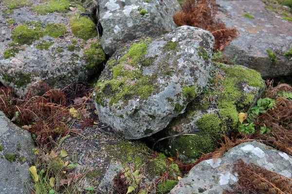 天然の粗石の原版面 — ストック写真