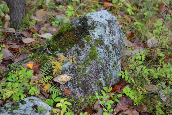 Superficie Texturizada Original Una Piedra Gruesa Natural — Foto de Stock