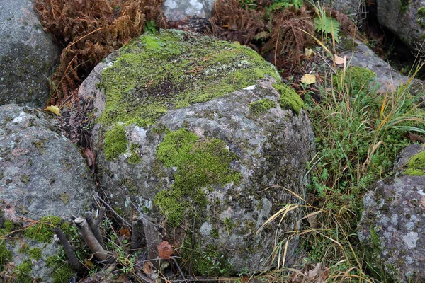 Původní Texturovaný Povrch Přírodního Hrubého Kamene — Stock fotografie