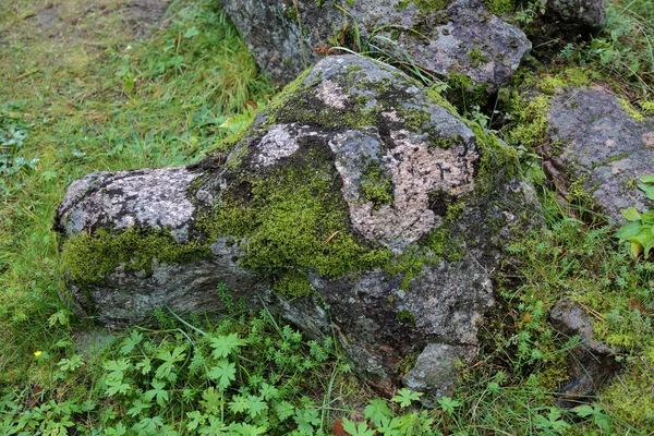 Superficie Texturizada Original Una Piedra Gruesa Natural —  Fotos de Stock