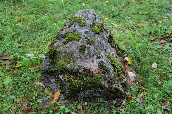 Original Textured Surface Natural Coarse Stone — Stock Photo, Image
