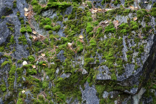 Doğal Kaba Bir Taşın Orijinal Dokulu Yüzeyi — Stok fotoğraf