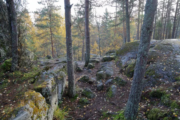 Bela Paisagem Florestal Carélia Início Outono Rússia — Fotografia de Stock