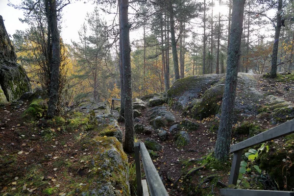 Bela Paisagem Florestal Carélia Início Outono Rússia — Fotografia de Stock