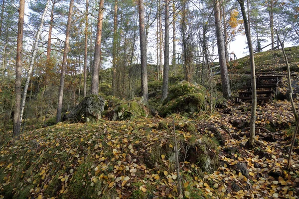 Bela Paisagem Florestal Carélia Início Outono Rússia — Fotografia de Stock