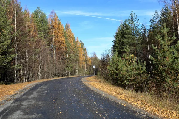 Vackra Karelska Skogslandskapet Början Hösten Ryssland — Stockfoto