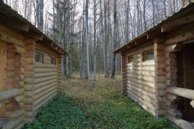Rusya'da erken sonbaharda güzel Karelya orman manzara