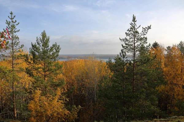 Beau Paysage Forestier Carélien Début Automne Russie — Photo