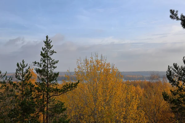 Bela Paisagem Florestal Carélia Início Outono Rússia — Fotografia de Stock