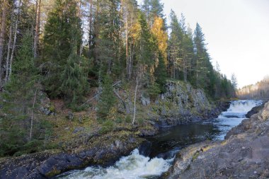 Doğal Karelya şelale Kivach Güz. Rusya