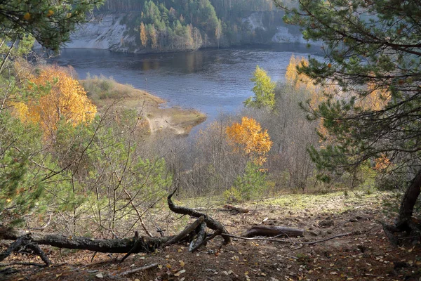 Sonbahar pitoresk orman ve su birikintisi Karelya köyün Girvas, Rusya Federasyonu