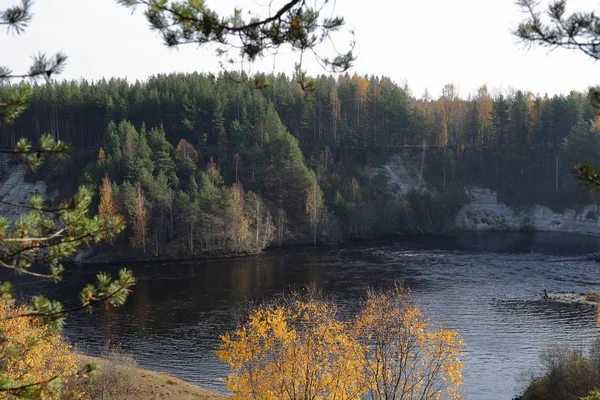 Мальовничі Осінній Ліс Ставок Карельська Girvas Росія — стокове фото