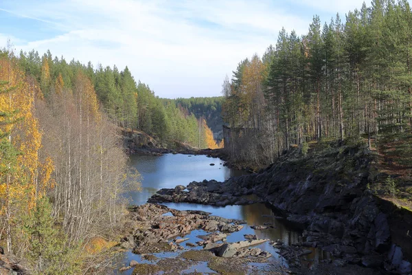 Malowniczy Las Jesienią Staw Karelski Wsi Girvas Rosja — Zdjęcie stockowe