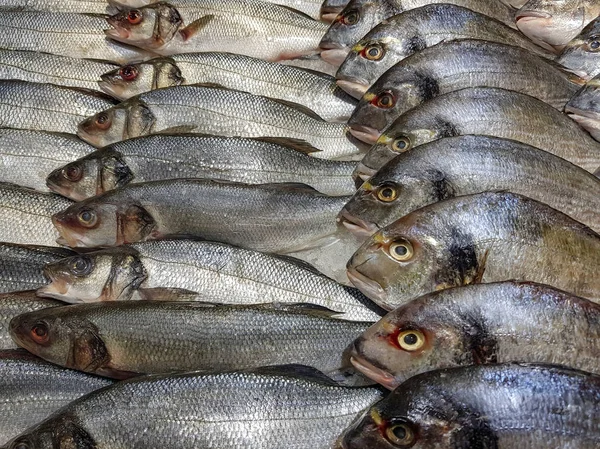 Lot Fresh Raw Fish Store Shelve Ice — Stock Photo, Image