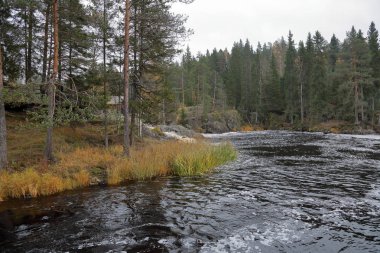 Doğal Karelya şelale Ahvenkoski Güz. Rusya