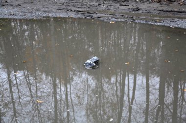 İşlenmemiş kaba doğal gri taş günlük ortamda