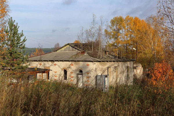 Mały Dom Mieszkalny Stoi Skraju Lasu Jesieni — Zdjęcie stockowe