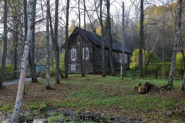 Pequena Casa Residencial Fica Borda Floresta Outono — Fotografia de Stock