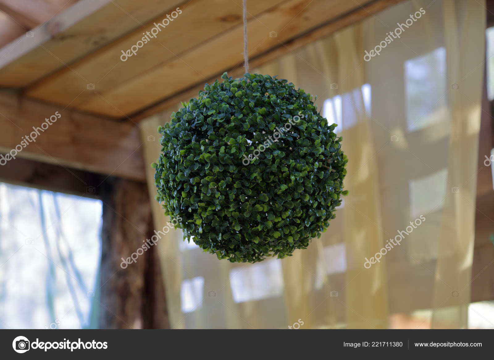 Decorative Ball Fresh Green Plants Hanging Gazebo Garden Stock