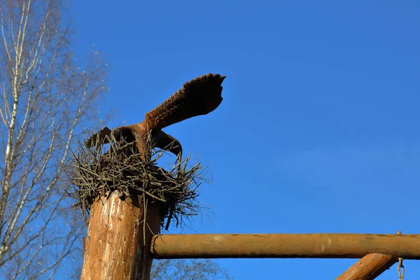Uma Águia Madeira Com Asas Largas Senta Ninho Pólo — Fotografia de Stock