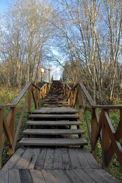 Larga Escalera Estrecha Aire Libre Parque Otoño Desierto —  Fotos de Stock