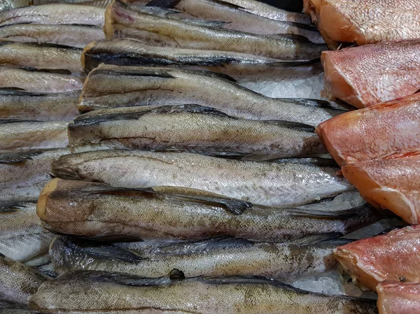 저장소에 신선한 생선을 — 스톡 사진