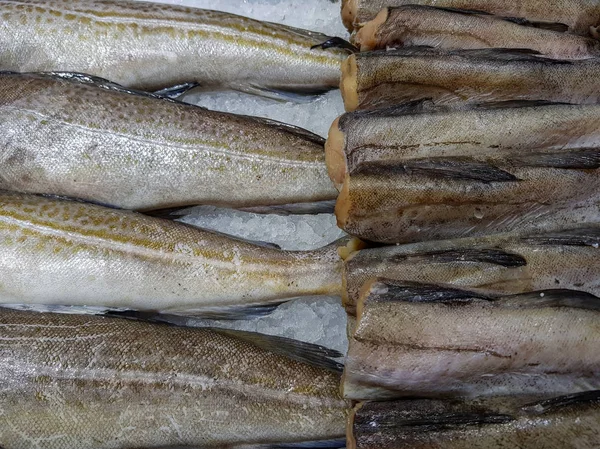 Monte Peixe Cru Fresco Prateleira Loja Com Gelo — Fotografia de Stock