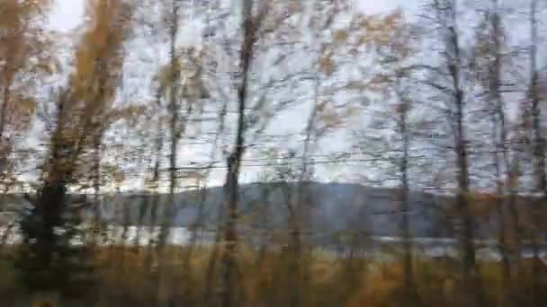 Paisagens Pitorescas Outono Com Árvores Coloridas Fora Janela Ônibus Turístico — Vídeo de Stock