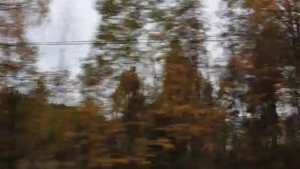 Malerische Herbstlandschaften Mit Bunten Bäumen Vor Dem Fenster Eines Touristenbusses — Stockvideo