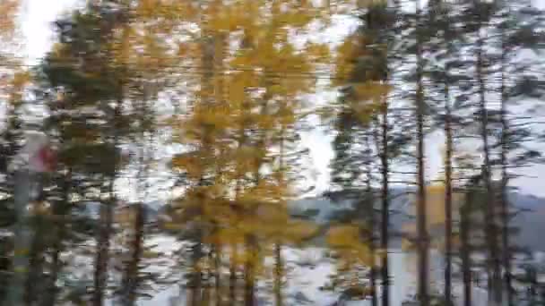 Malerische Herbstlandschaften Mit Bunten Bäumen Vor Dem Fenster Eines Touristenbusses — Stockvideo